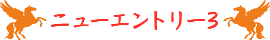 ニューエントリー3