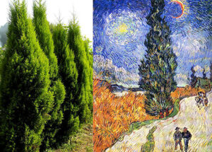 糸杉になった少年キュパリッソス